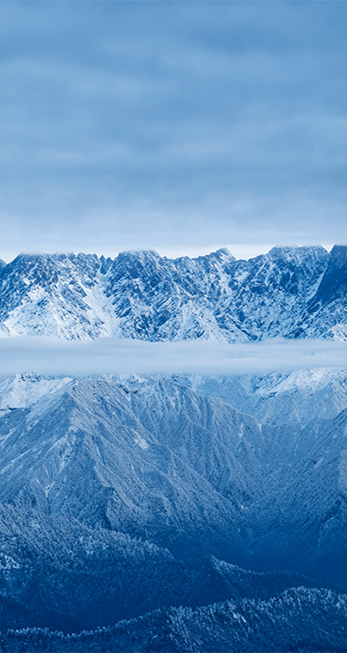 关于凯发K8国际